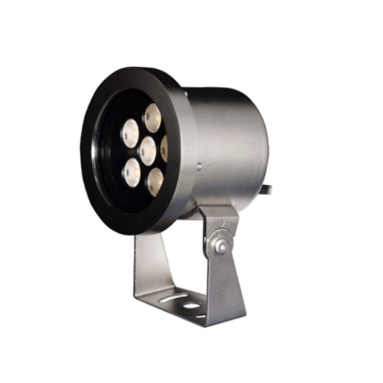 IP68 LED Underwater Pond Spot Lights SUS316 Stainless Steel