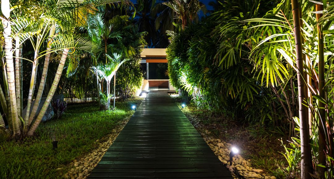 garden-walkway-with-spotlights