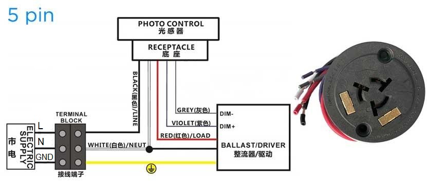 5-pin NEMA sockets