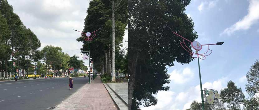 Our 150W LED Street Luminaires project in Vietnam, 55 pieces, dimmable power supply + 7pin NEMA