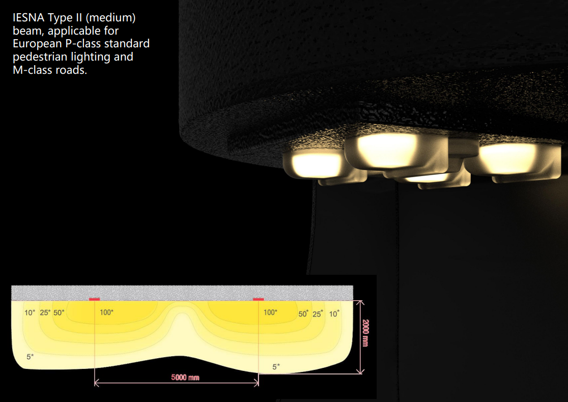 IESNA Type II (medium) beam, applicable for European P-class standard pedestrian lighting and M-class roads.
